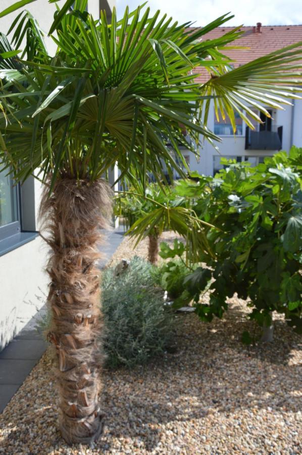 Palm Garden Apartment 1 Mikulov Buitenkant foto